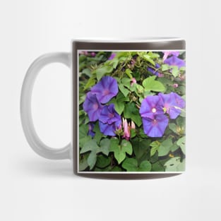 Morning Glory Twice Over Mug